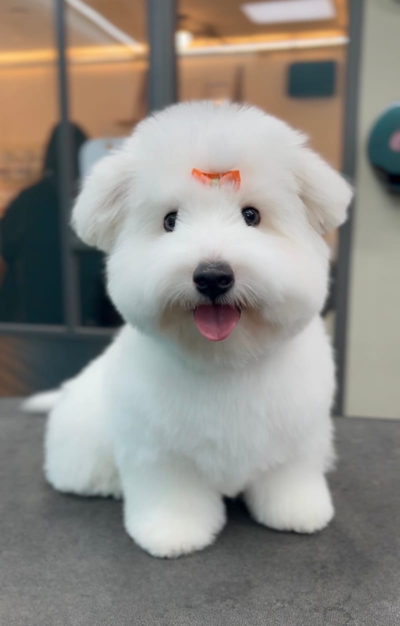 업체 정보 이미지 1