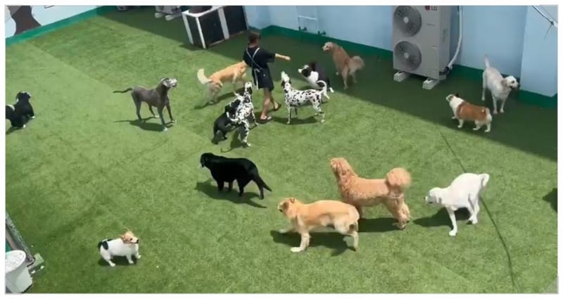 업체 정보 이미지 3