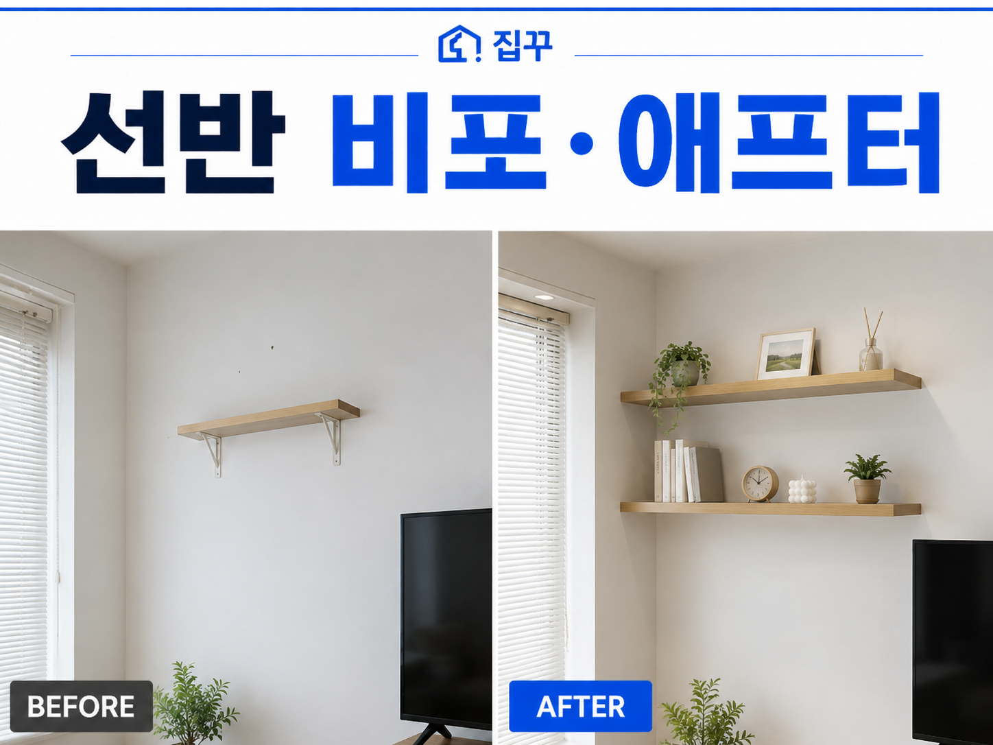 집꾸 사진 1