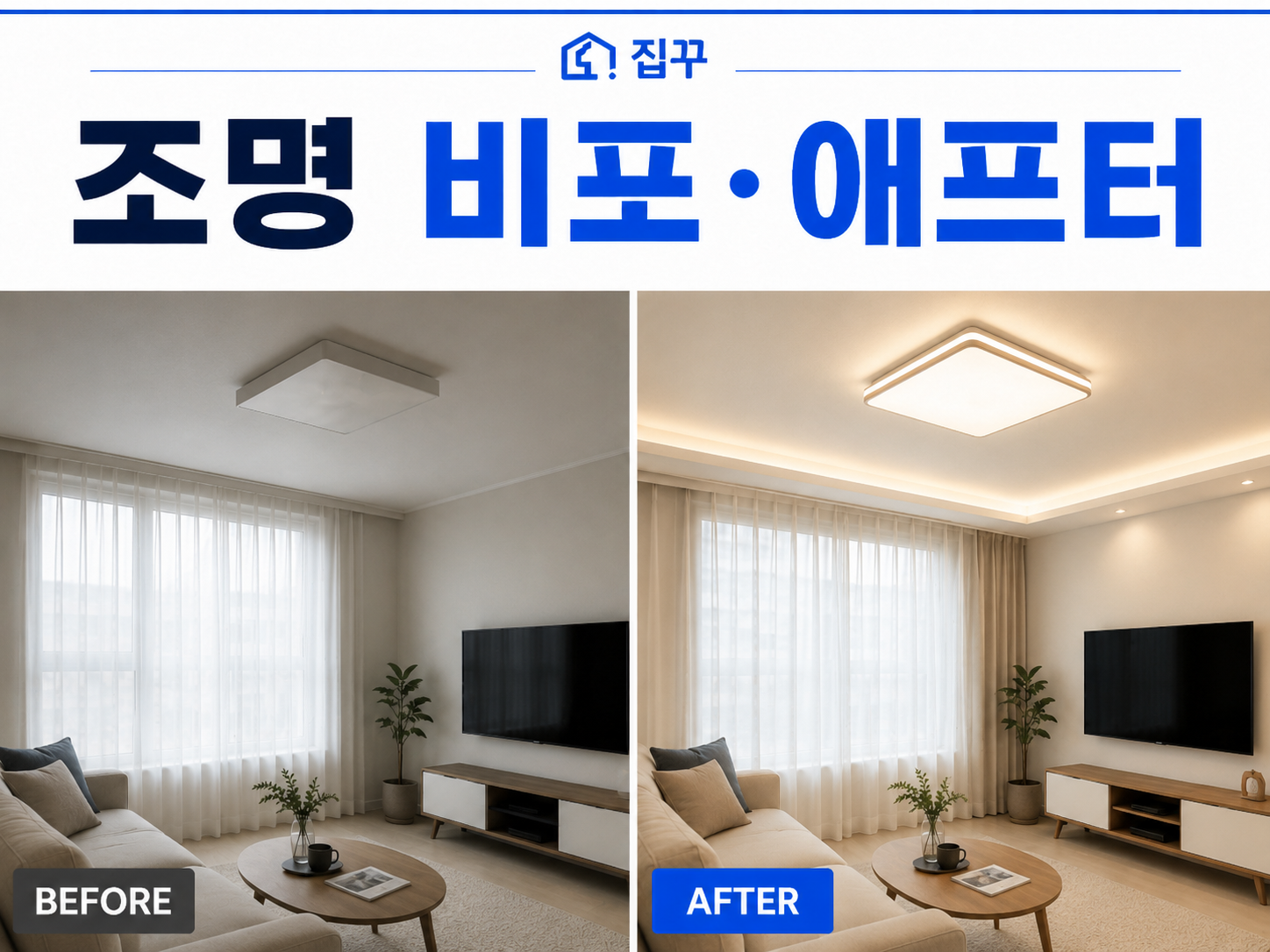 집꾸 사진 2