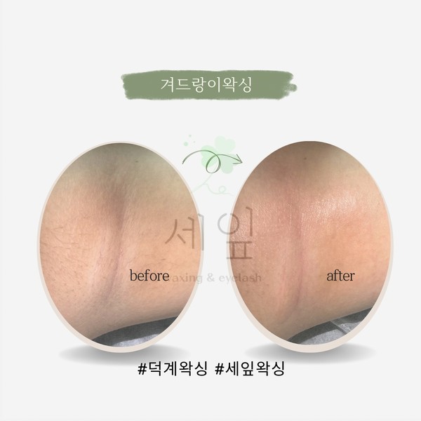 [경기 양주] 세잎